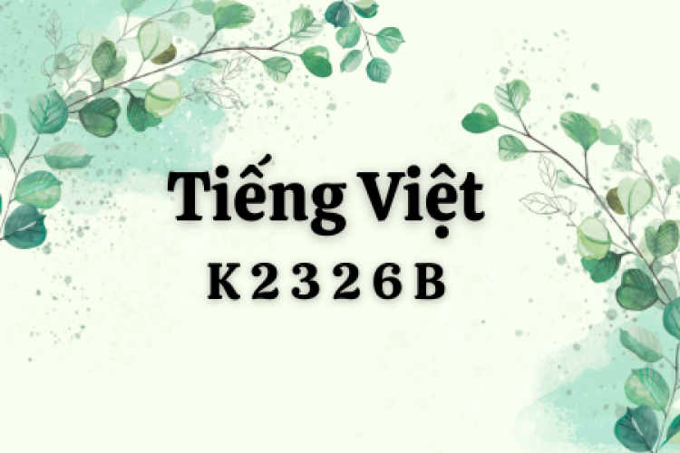 Khóa học tiếng Việt K2326B