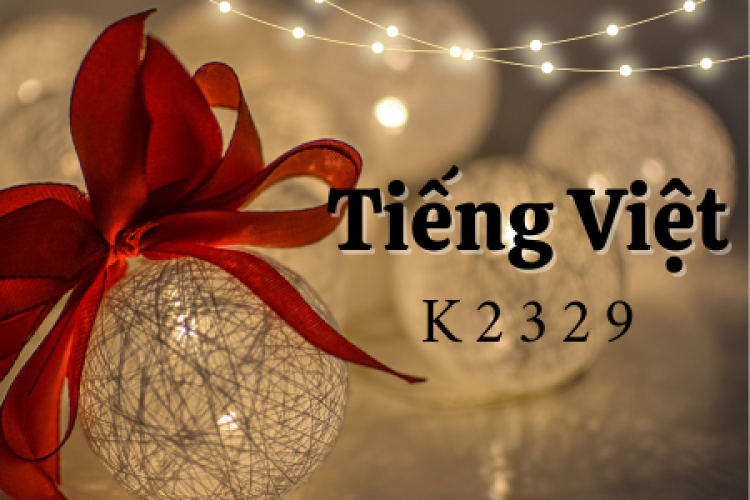 Khóa học tiếng Việt K2329