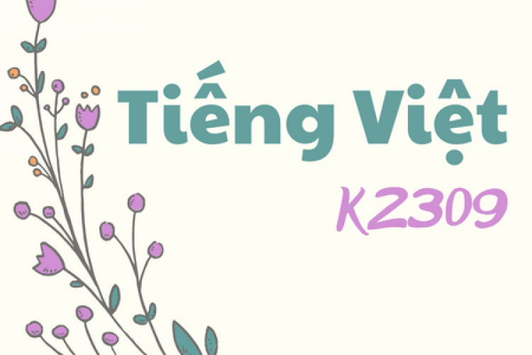 Khóa học tiếng Việt K2309