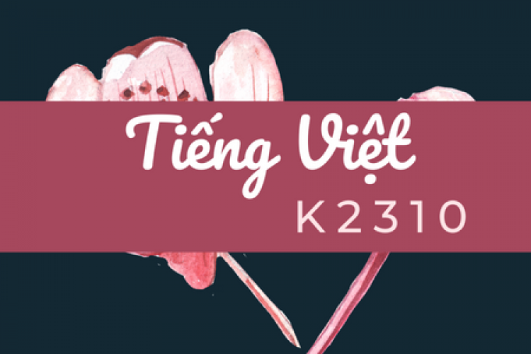 Khóa học tiếng Việt K2310