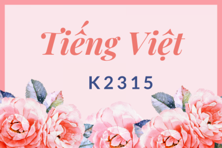 Khóa học tiếng Việt K2315