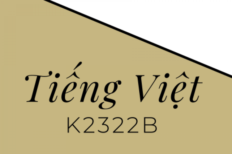 Khóa học tiếng Việt K2322B