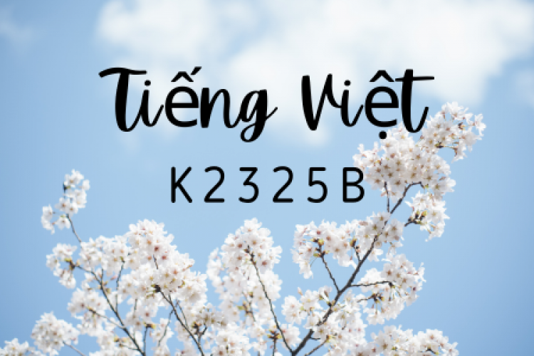 Khóa học tiếng Việt K2325B
