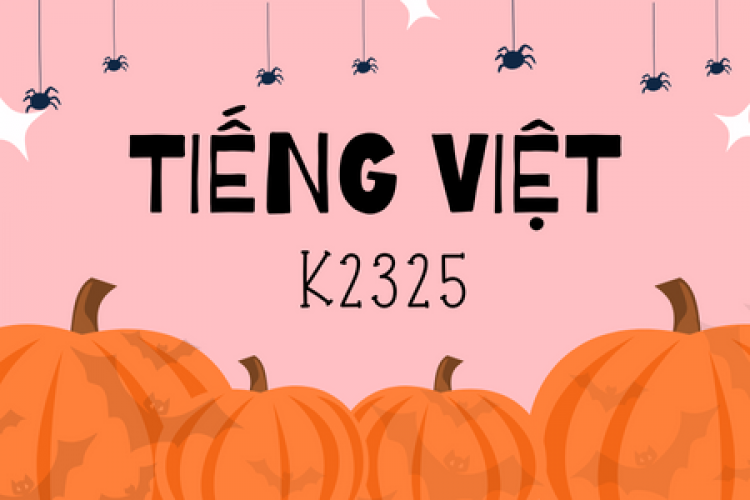 Khóa học tiếng Việt K2325
