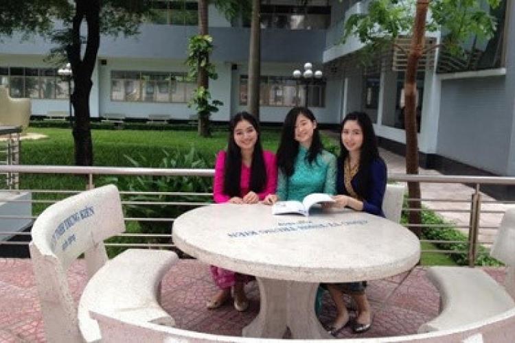 Chương trình cử nhân Việt Nam học