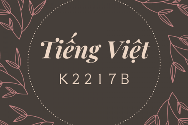 Khóa học tiếng Việt K2217B