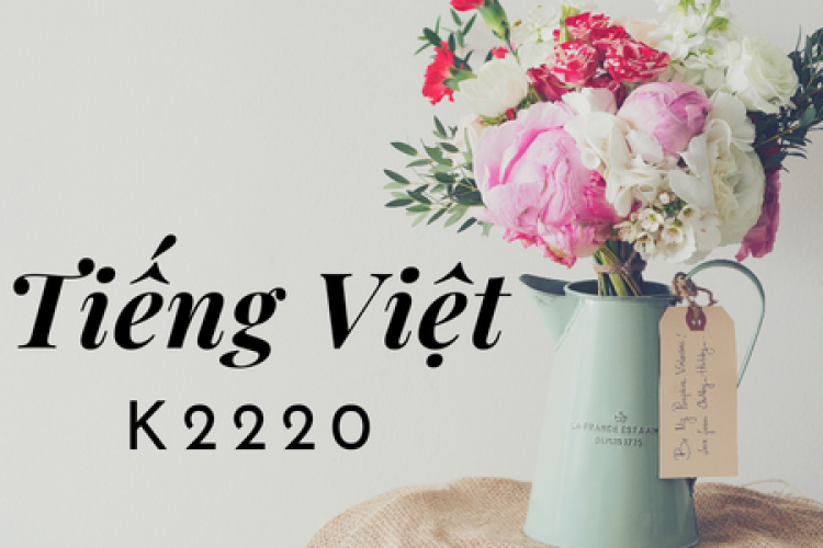 Khóa học tiếng Việt K2220