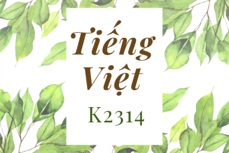 Khóa học tiếng Việt K2314