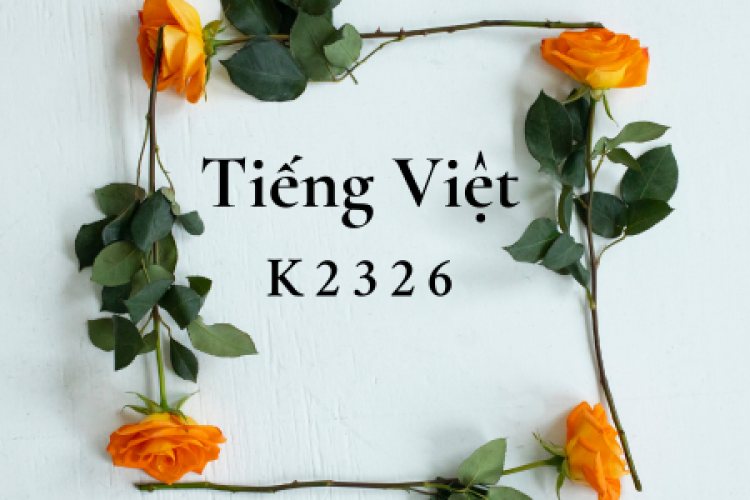 Khóa học tiếng Việt K2326