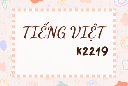 Khóa học tiếng Việt K2219