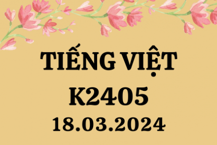 Khóa học tiếng Việt K2405